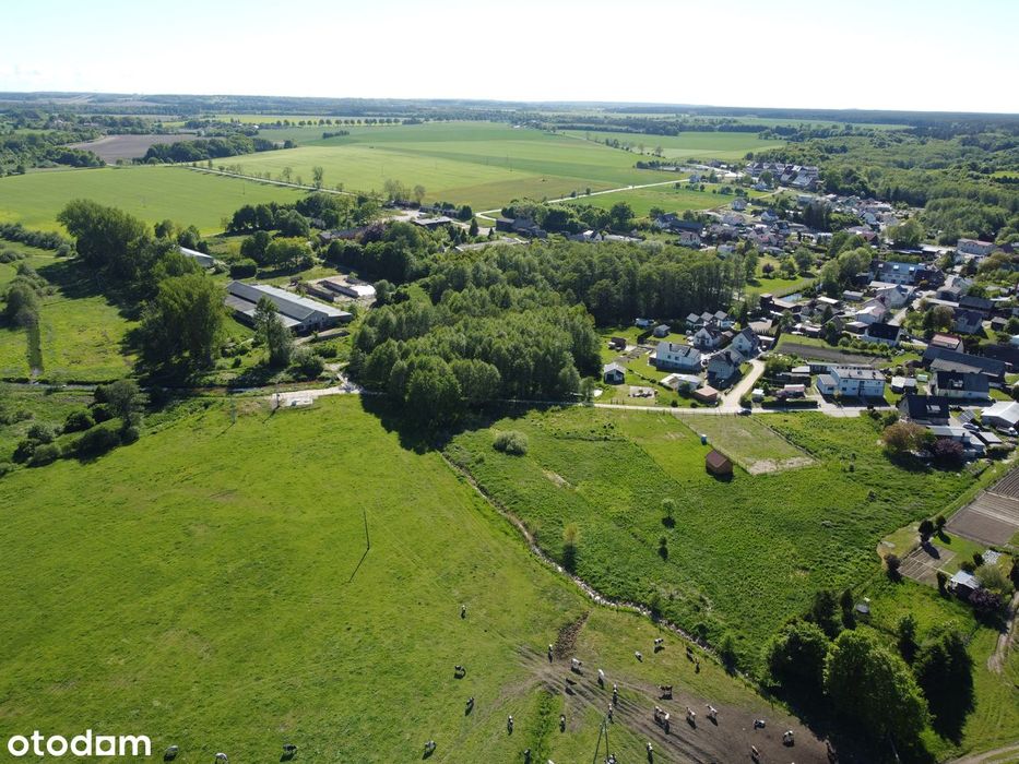 Działki budowlane 5 km od Morza Bałtyckiego | Wierzchucino | MPZP - Widok 4