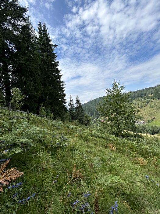 Продається 1.2 гектара з можливістю зміни цільового призначення