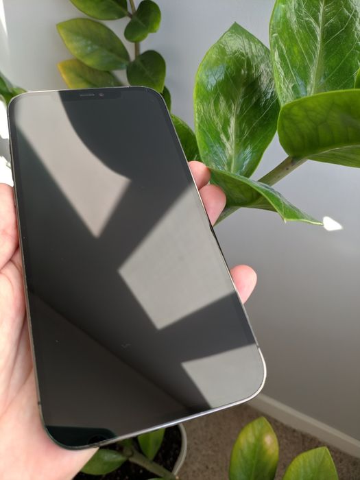 iPhone 12 Pro Max 128 GB