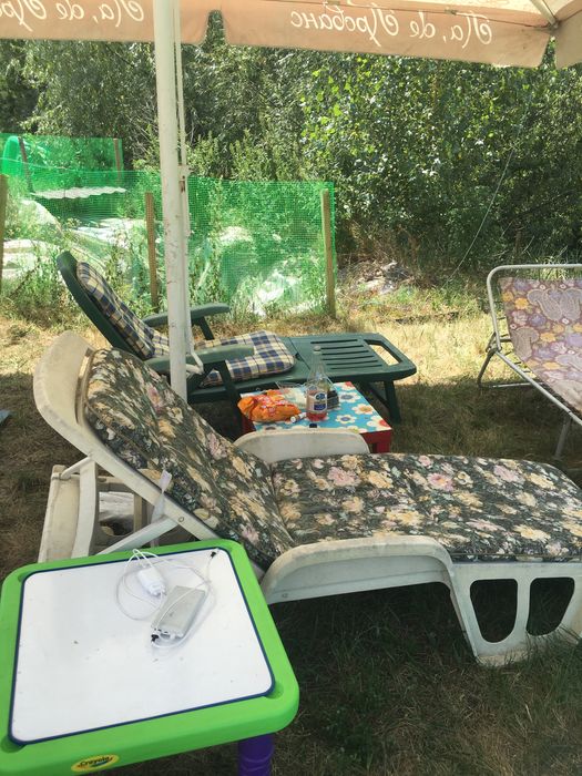 Організація пікніка побачення відпочинку зустрічі на березі