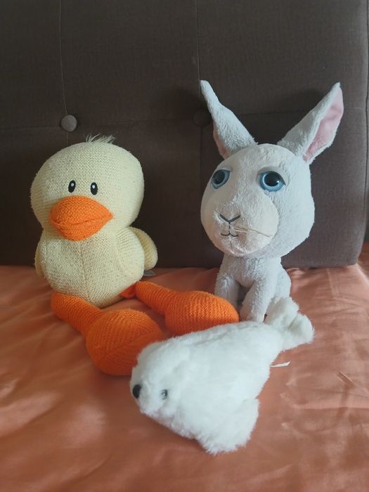Kaczuszka,zając, królik, kaczka+foczka pluszaki maskotki zestaw