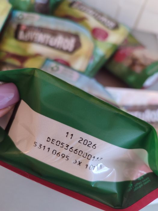 Conjunto de biscoitos para cao