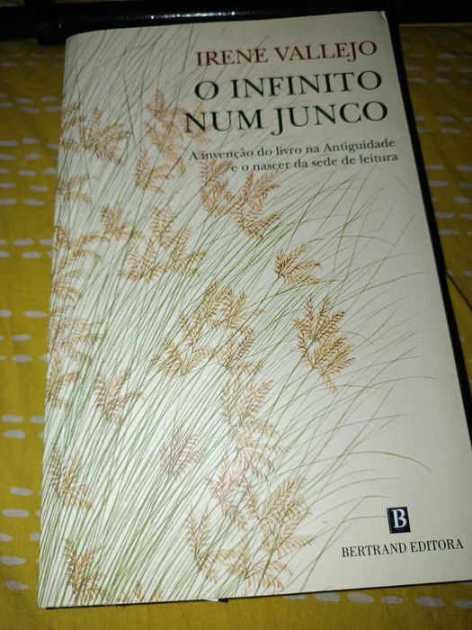 Livros usados - autores e títulos diversos
