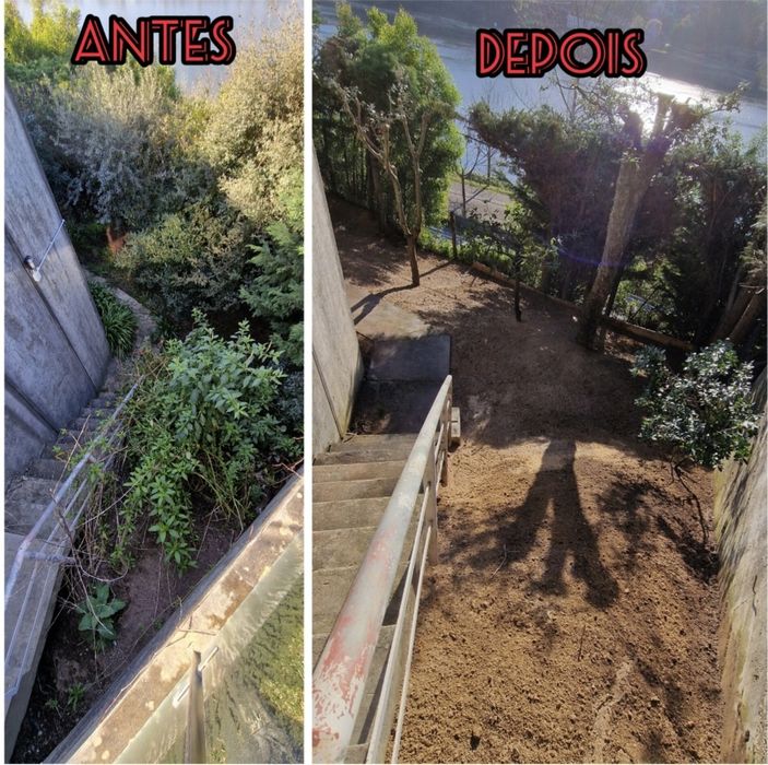 Serviços Jardinagem Ricardo Pinto