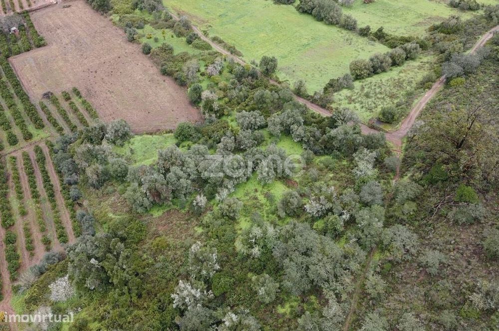 Terreno Rústico com 2.600m2 em Ladeira da Cumeada, Messines