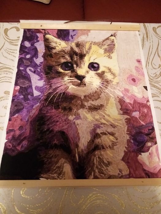 obraz kota 41x53 cm