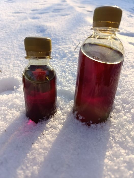 Натуральна Гарбузова олія 100мл