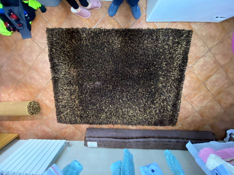 brown carpets435806399984445445