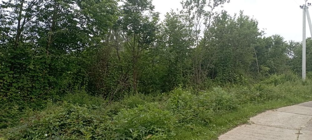 Продаю ділянку в горах Карпат Голубине Вілла Квітка