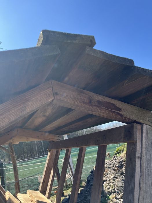 Paśnik dla saren zwierząt