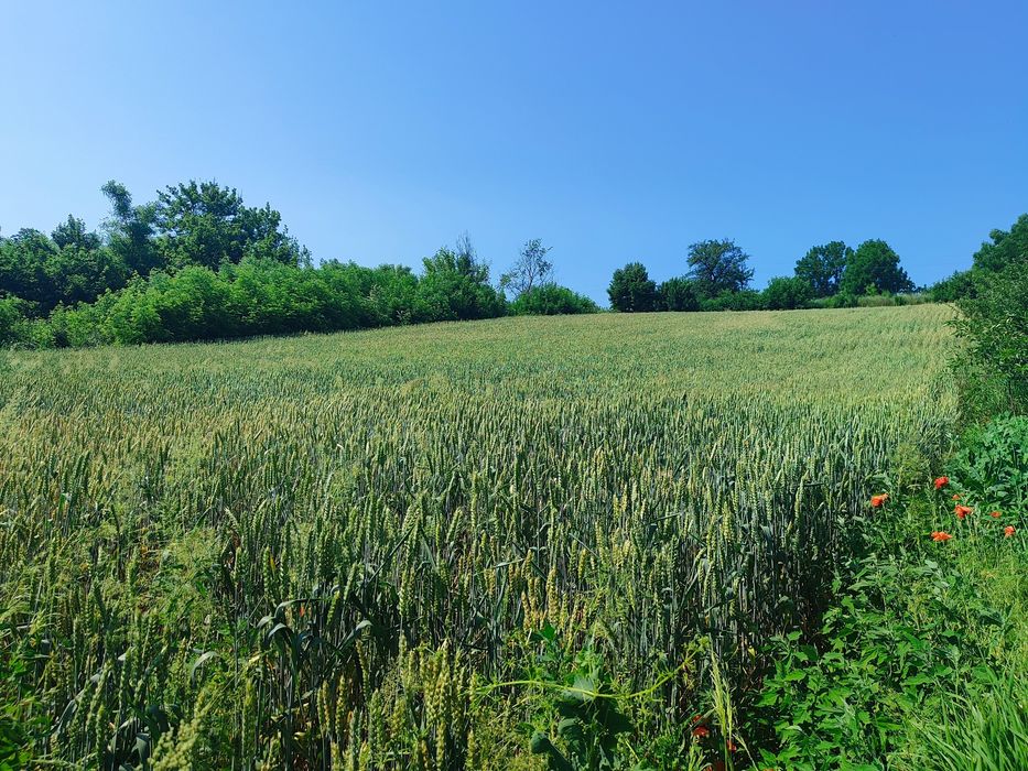 Продам будинок в селі Безпечна