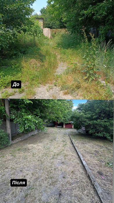 косіння трави та бурянів, обробка саду, обрізка дерев догляд за територією