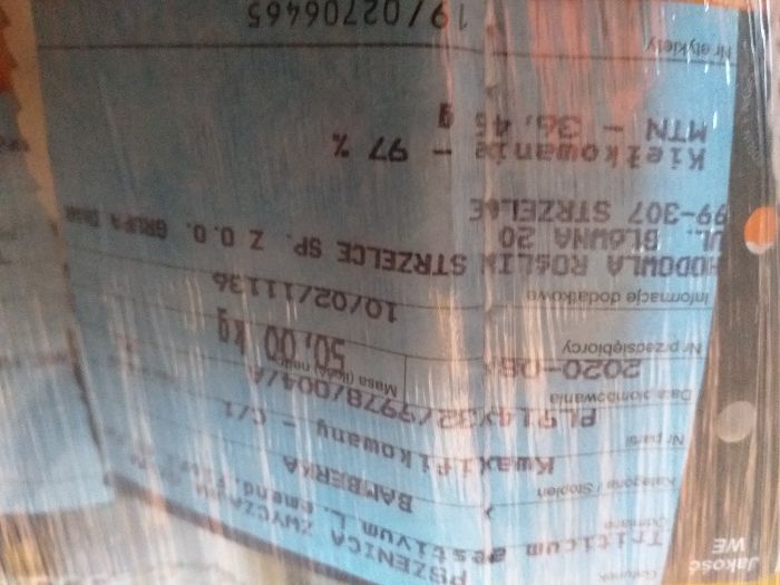 Materiał siewny Elektra,Banatus,Euforia,Wilejka ,Tadeus, Tributto