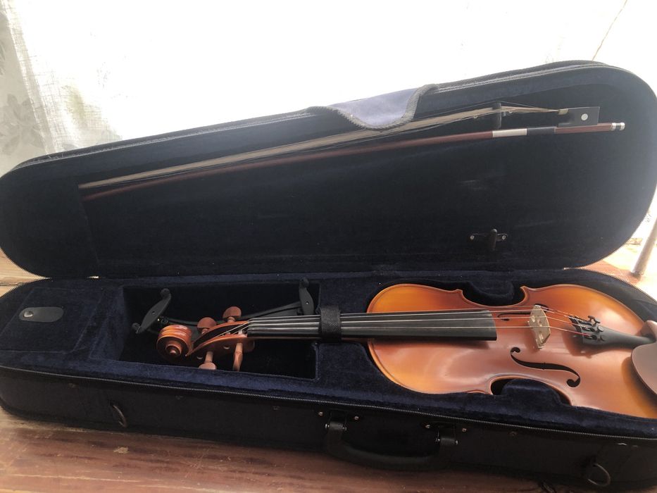 Violino com cordas de violeta