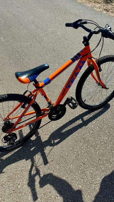 Bicicleta Team roda24