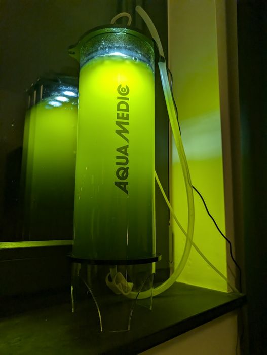 Fitoplankton z 13.02.26 1 l do akwarium morskiego pokarm dla korali