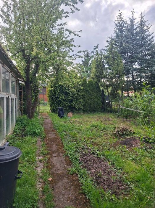 Ogródek działkowy ROD Szczecin Łukasińskiego - Widok 3