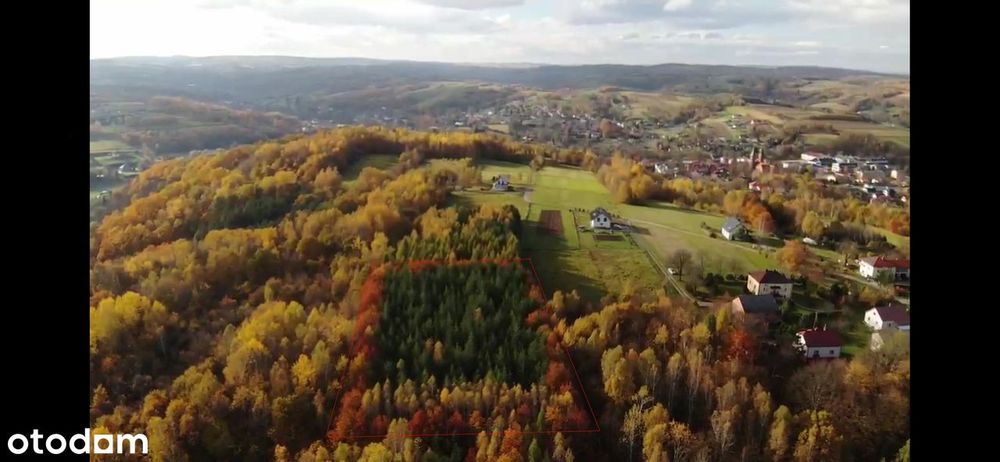 Działka budowlana z dostępem do lasu