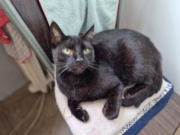 KRYSTIAN I GREY szukają domku