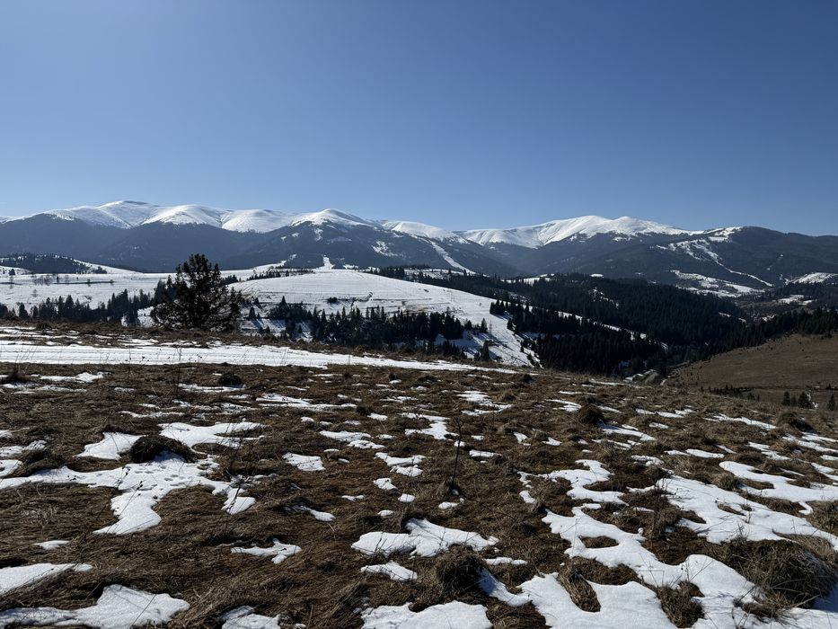 Продається ділянка у с. Пилипець