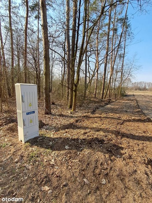 Atrakcyjna tylko 70 km od Warszawy, BZURA, las, media, WZ !!! - Widok 3