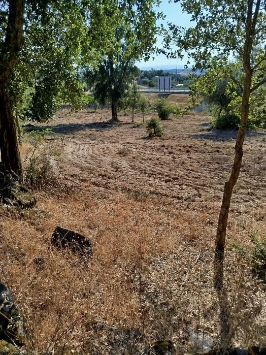 Horta agrícola em Alcains