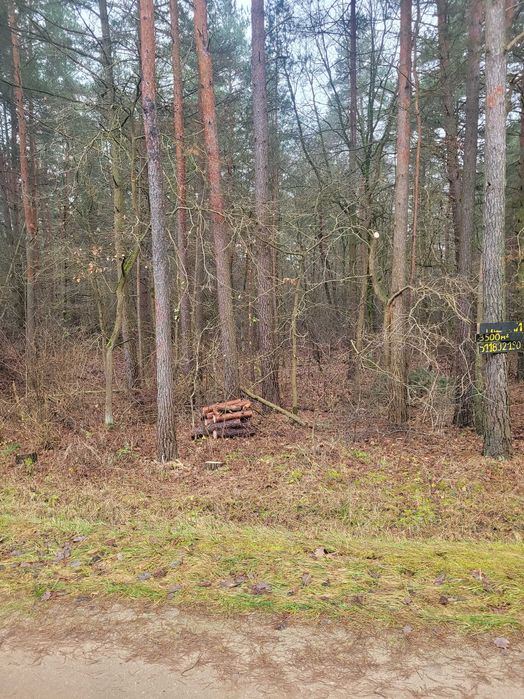 Działka letniskowa blisko Narwi