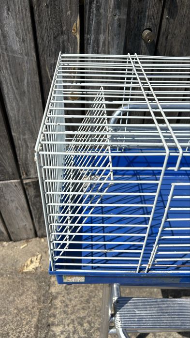 Gaiola/Casota de Coelho