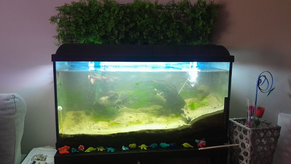 Aquário 79x49x21 + 2 motores + acessórios