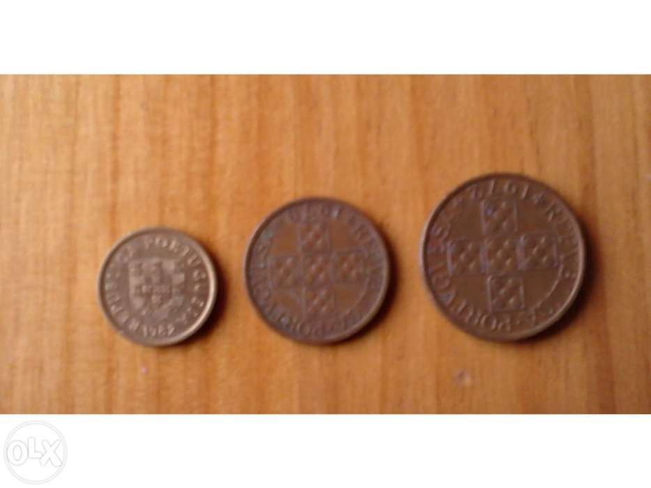 Moedas escudo