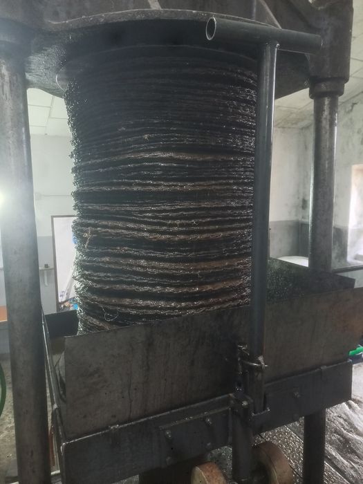 Azeite biológico caseiro.