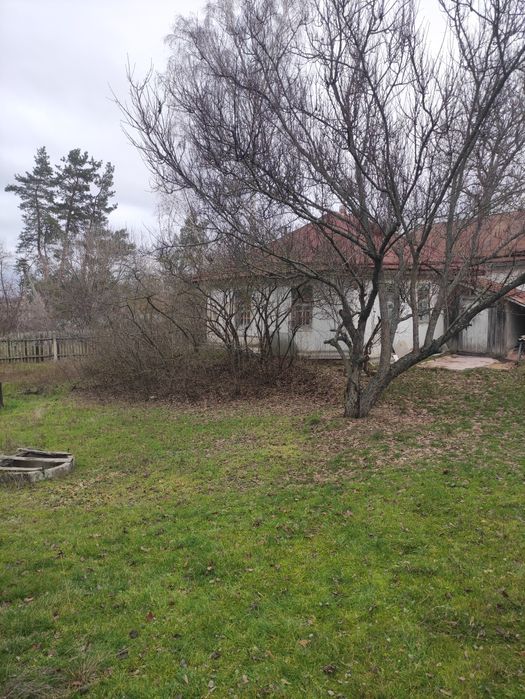 Продаж будинка с. Худоліївка біля лісу