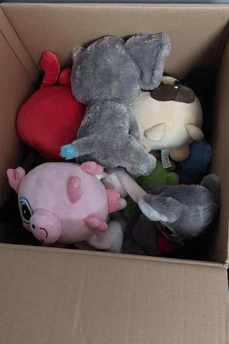 Karton pluszaków, pluszaki