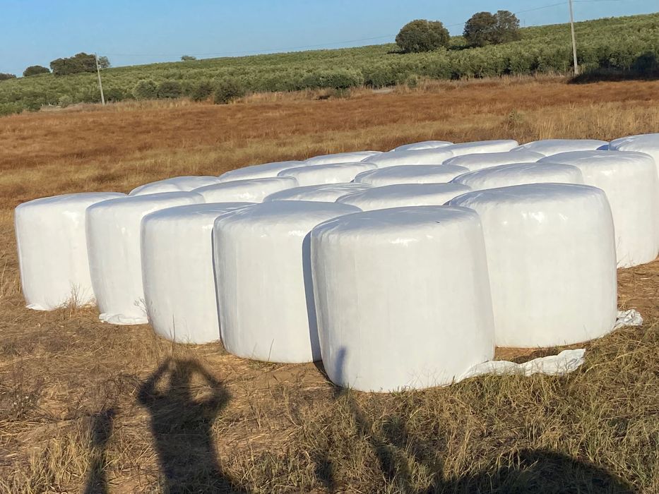 Venda de bola de fenosilagem