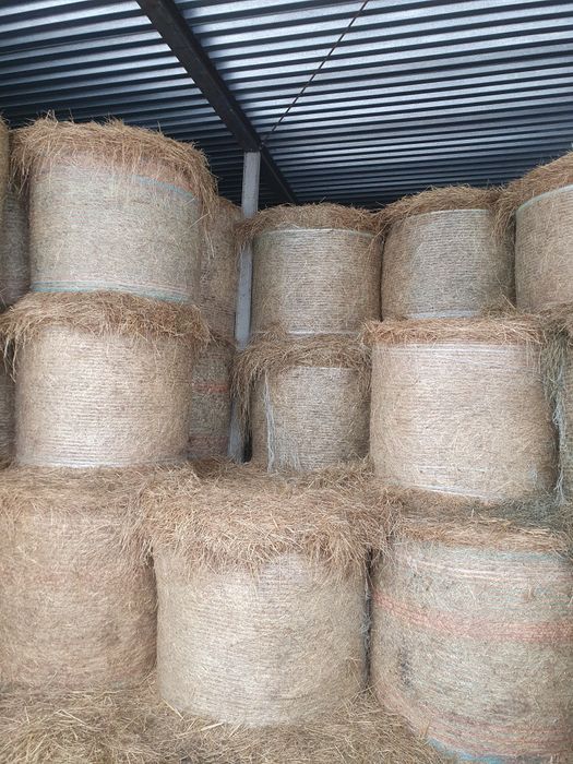 Siano ze stodoły i sianokiszonka