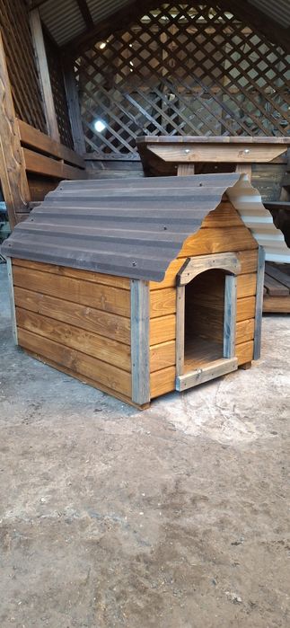 Собача будка. Буда