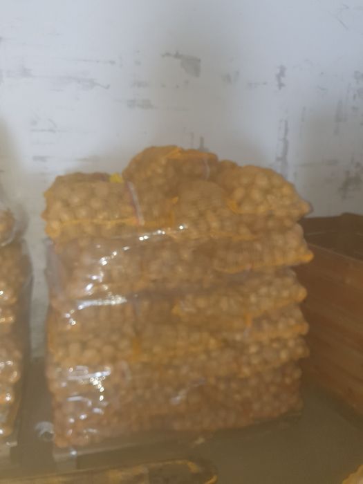 Ziemniaki Soraya Quinn Anna Mellody Bellarosa