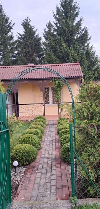 Działka rekreacyjna ROD KLEMATIS Lotnisko