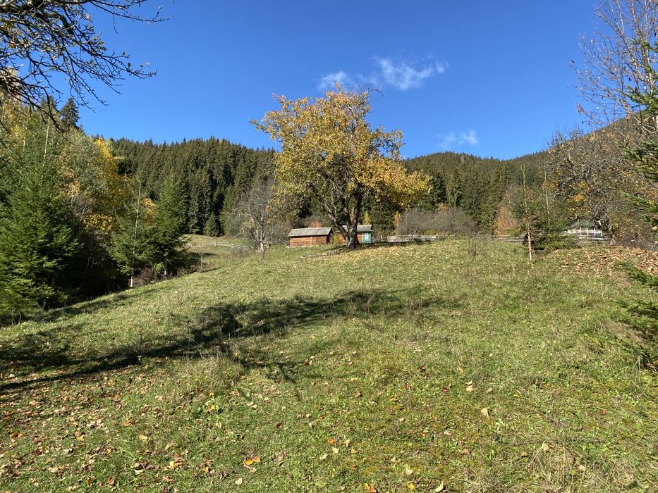 З двох сторін потічки. З трьох сторін дерева. Гарний заїзд