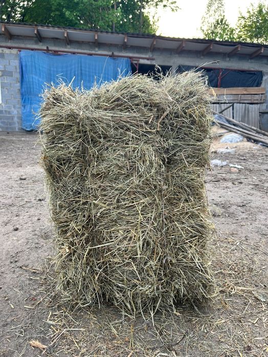 Siano w kostkach/Słoma w kostkach