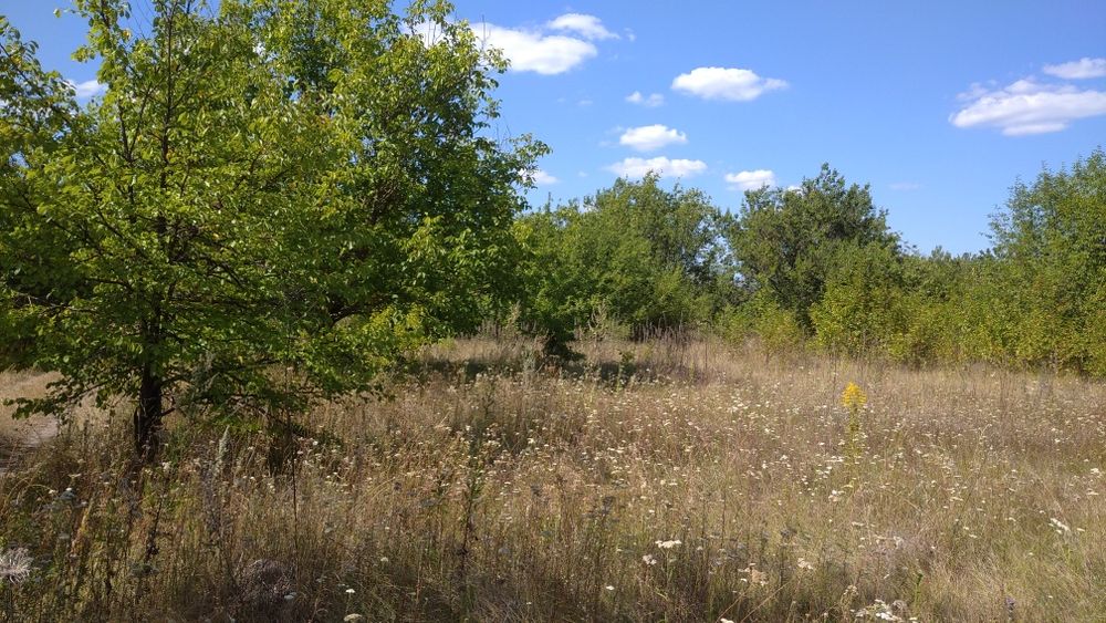 Продам земельный участок, 10сот., Белоцерковский р-н, Киевской обл.