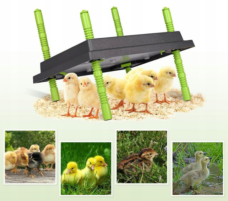 Płyta grzewcza do hodowli piskląt, 25 x 30 cm