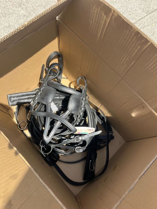 Pony Tack64739964340993120