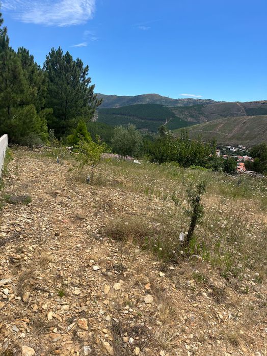 Quinta à venda verdelhos ótimo para investimento