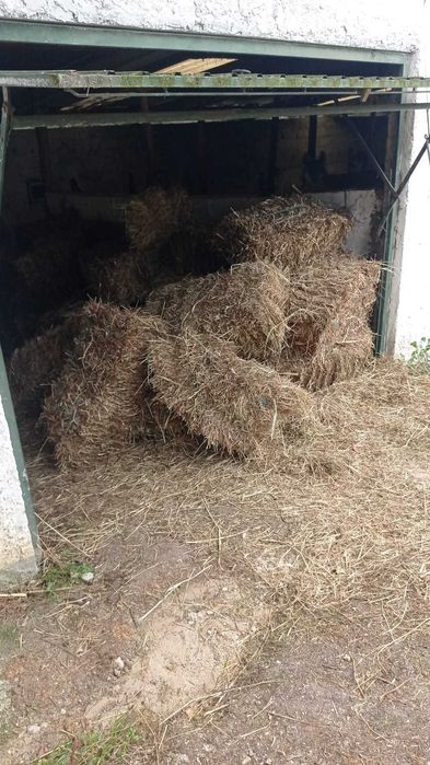 Vendo fardos Feno - Palha, boa qualidade aprox. 30kl,
