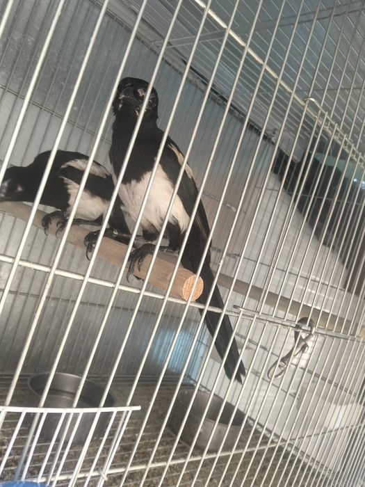 Casal pegas com documentos