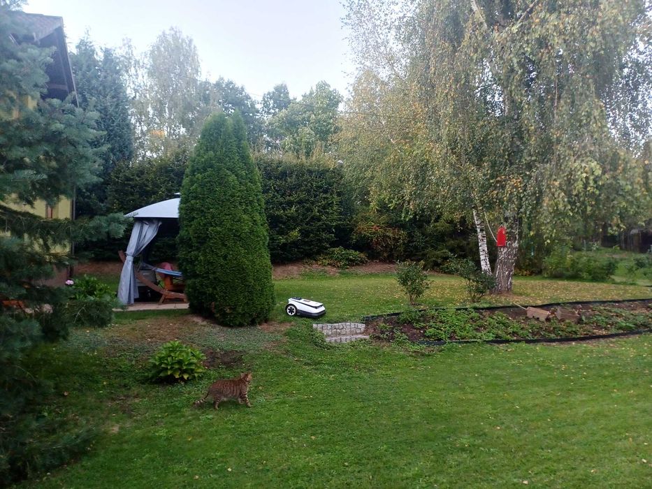 Dom – Jastrzębie-Zdrój - Widok 5