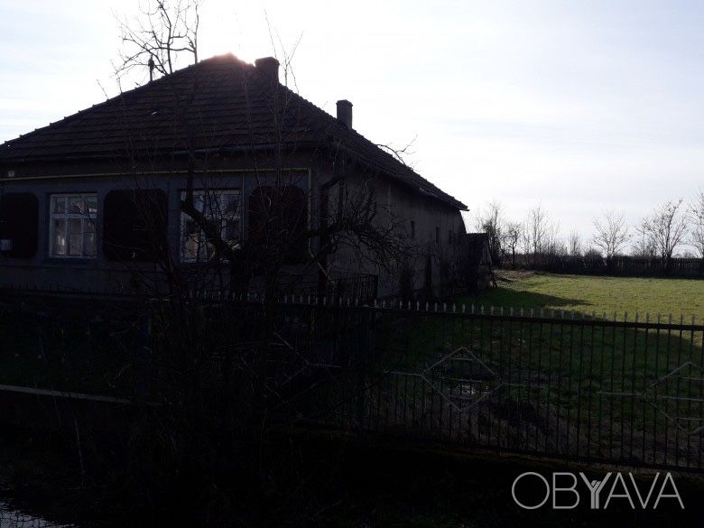 Будинок та земельна ділянка