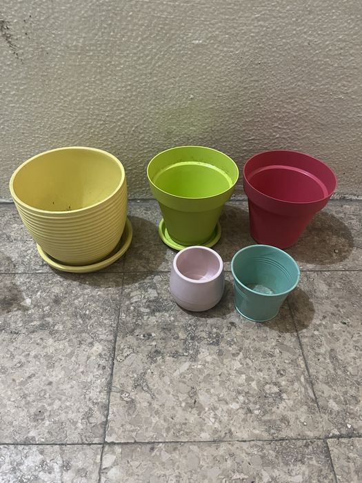 Vasos de plantas variados