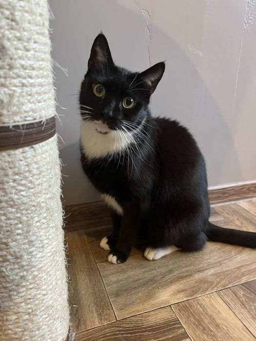 Delikatna Blanka szuka chaty